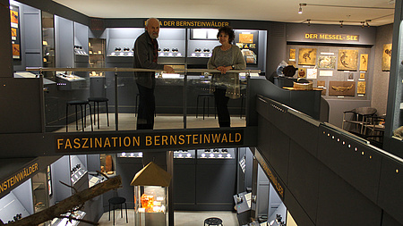 Ein mann und eine Frau stehen auf der Galerie eines Museums. Sie blicken beide in die Kamera. An den Wänden Vitrinen mit Ausstellungsobjekten. Der Blick ins Untergeschoss zeigt ebenfalls Vitrinen mit Ausstellungsobjekten.