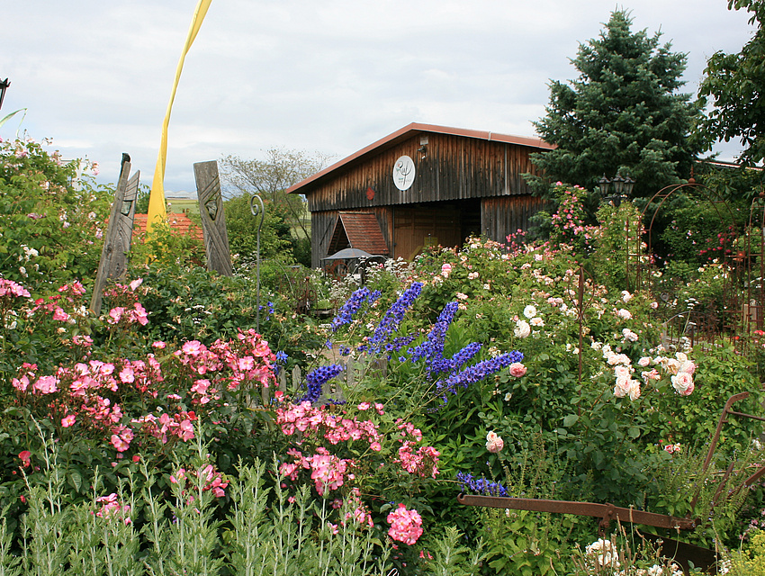 Schaugarten der Rosenschule Ruf