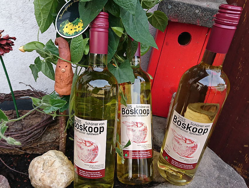 sortenreiner Apfelwein (Foto: Rote Pumpe)