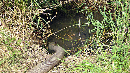 Rohr einer Wasserpumpe hängt in einem Teich.