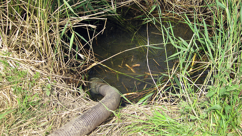 Rohr einer Wasserpumpe hängt in einem Teich.