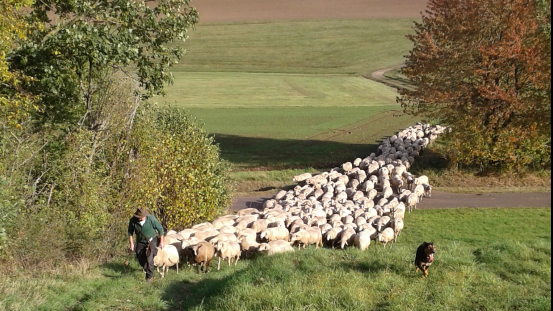 Christian Krauthan bei der Arbeit Christian Krauthan bei der Arbeit