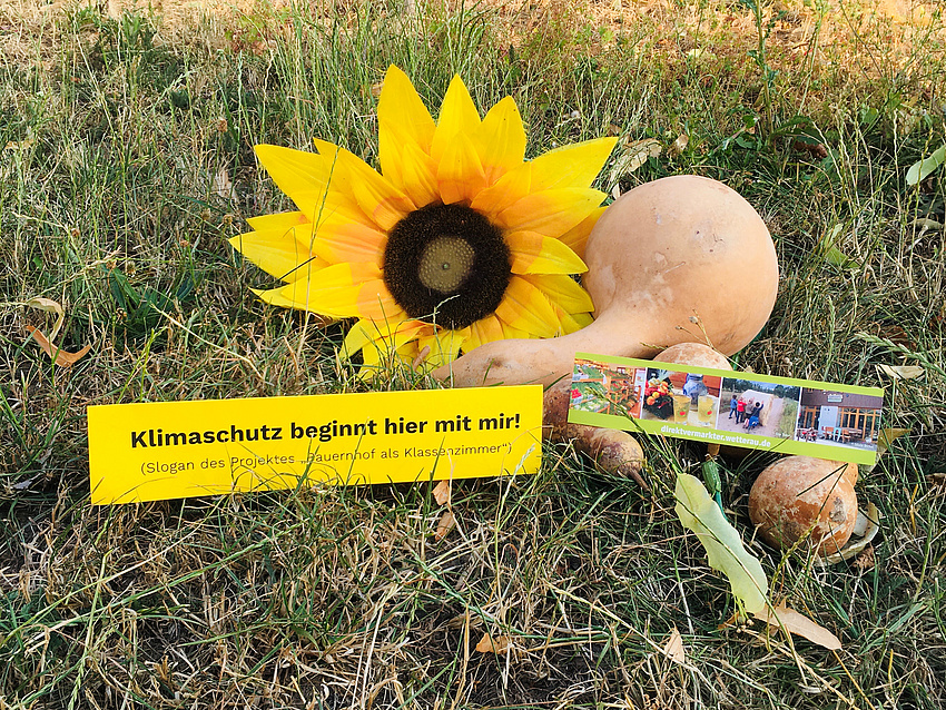 Kalebassen (Flaschenkürbisse) vom Direktvermarkter schneider aus echzell/Grund-schwalheim