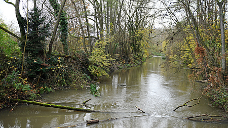 Renaturierter Flusslauf mit Totholz und bewaldetem Ufer