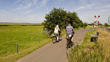Ein Radfahrer und eine Radfahrerin fahren auf einem Radweg durch eine Wiesenlandschaft auf einen Bahnübergang zu.