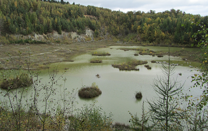 Blick in eine große wassergefüllte Mulde, die von Büschen und Bäumen umgeben ist.