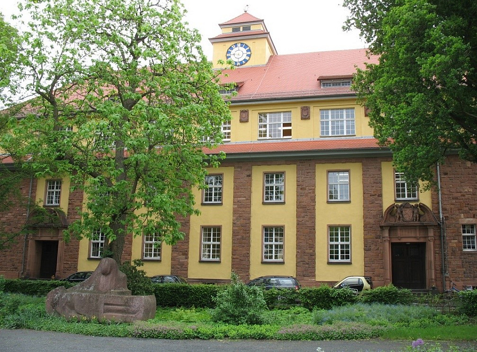 Schulgebäude hinter Bäumen