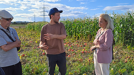 Eine Frau und zwei Männer stehen auf einem Feld und unterhalten sich. Im Hintergrund sind Mais-Pflanzen zu sehen.