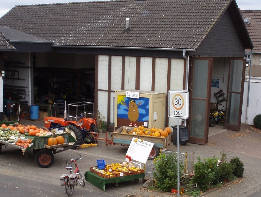 Kürbisse vor einer Scheune