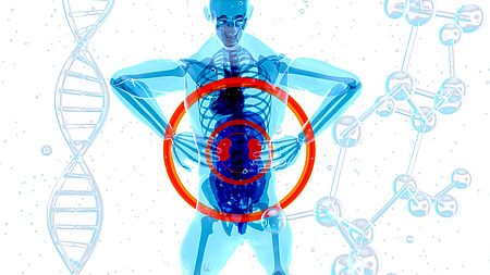 Grafik zeigt einen stilisierten Menschen und sein Skelett. Die beiden Nieren sind farblich hervorgehoben und zwei Kreise um sie gezeichnet.